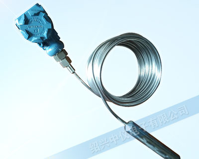 鎧裝投入式液位計